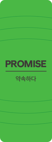 promise 약속하다