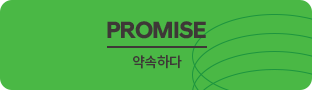 promise 약속하다